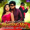 About Aam Do Gida Marang Mai Song